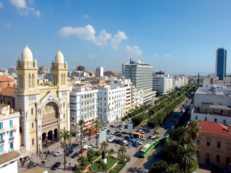 Tunis - Bardo - Carthage & Sidi Bou Said